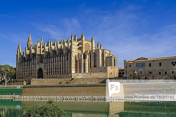 Kathedrale von Palma  Lago Espejo de Cristal  Palma de Mallorca  Mallorca  Balearen  Spanien  Europa