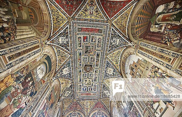 Ceiling fresco in the Cathedral of Siena or Cattedrale Metropolitana di Santa Maria Assunta  interior photograph  Province of Siena  Tuscany  Italy  Europe