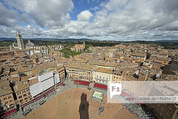 View of the roofs of Siena and the Piazza il Campo  on the left the Duomo  in the back the Basilica di San Domenico  Province of Siena  Tuscany  Italy  Europe
