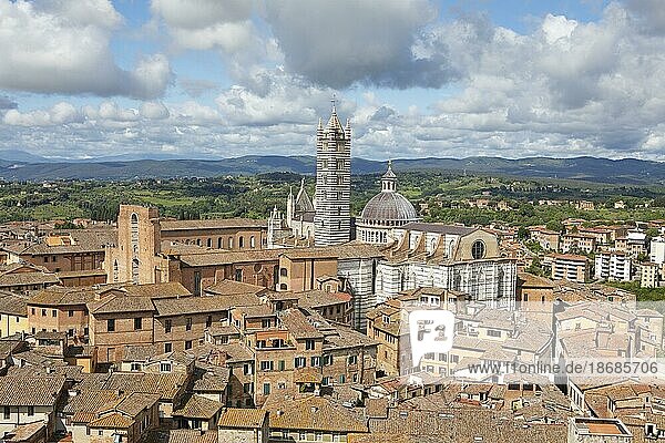 View of the roofs of Siena  in the middle the cathedral  province of Siena  Tuscany  Italy  Europe