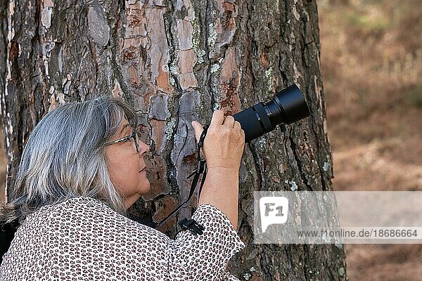 Close-up of a white-haired woman photographer taking a picture leaning on a pine tree