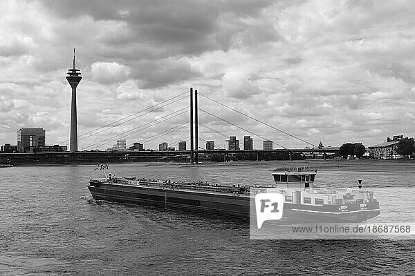 Ausblick über den Rhein mit Frachtschiff  dahinter Fernsehturm  Düsseldorf  Deutschland  Europa