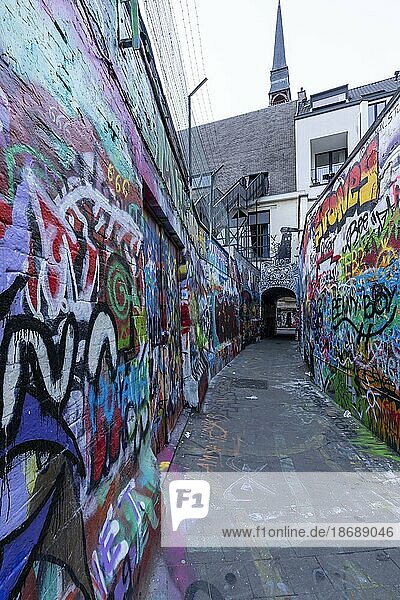 Graffiti Strasse  Gasse mit Kopfsteinpflaster und erlaubter Graffiti Kunst  Gent  Belgien  Europa