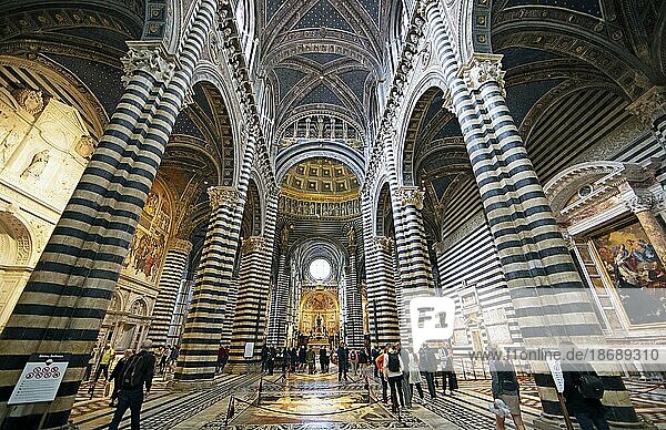Siena Cathedral or Cattedrale Metropolitana di Santa Maria Assunta  interior view  Siena Province  Tuscany  Italy  Europe