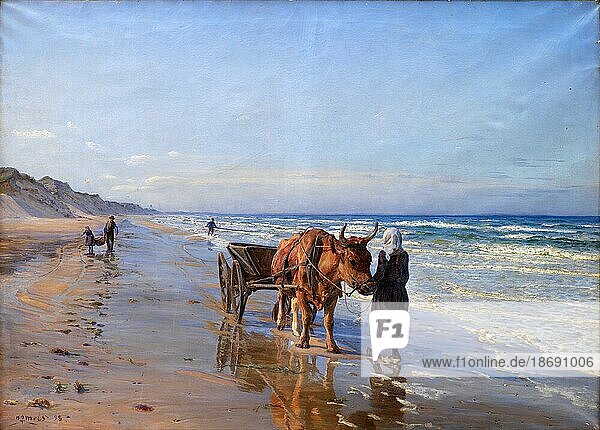 Die Küstenbewohner ziehen mit einem Ochsenkarren am Strand entlang und suchen nach Treibgut  um 1880  Holland  Gemälde von N.P.Mols  Historisch  digital restaurierte Reproduktion von einer Vorlage aus der damaligen Zeit