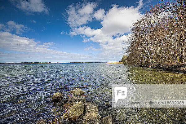 Sonniger Märztag am Ufer des Selenter Sees an der Badestelle Selent. Das Wasser ist sehr klar und sauber