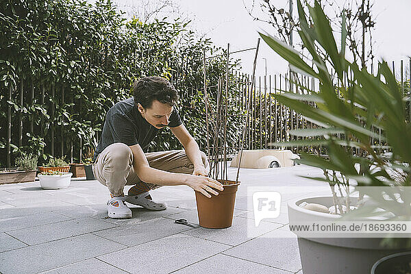Man with potted plant gardening on terrace