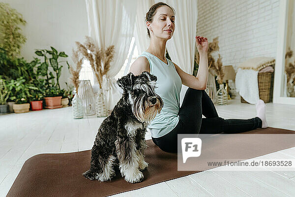 Woman doing yoga sitting on exercise mat by Schnauzer dog at home