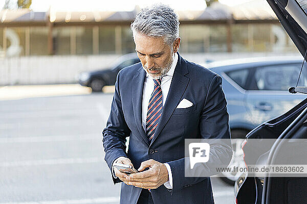 Mature businessman using smart phone