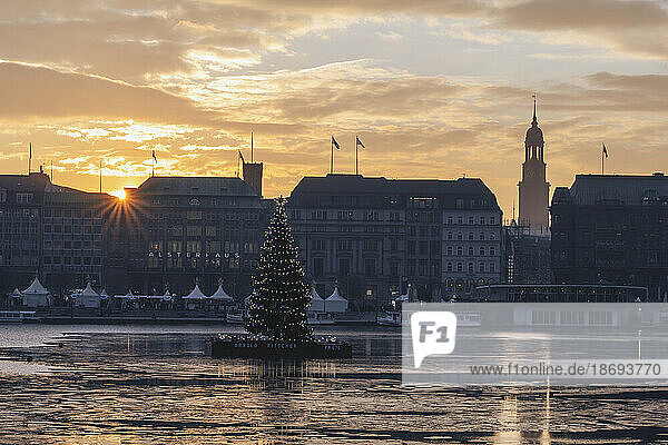 Germany  Hamburg  Christmas tree in Alster Lake at sunset