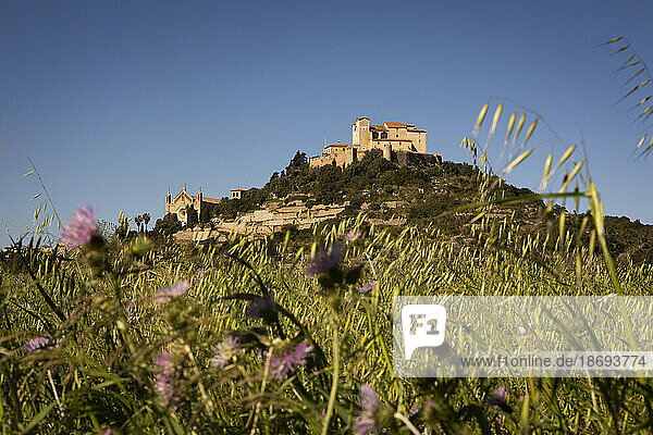 Spain  Balearic Islands  Arta  Almudaina DArta fort with wildflowers in foreground