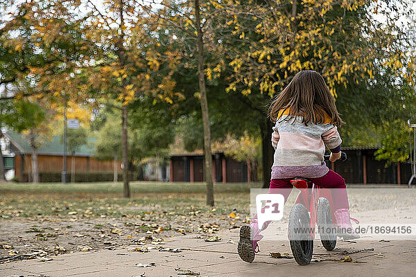 Girl riding bicycle on footpath at park