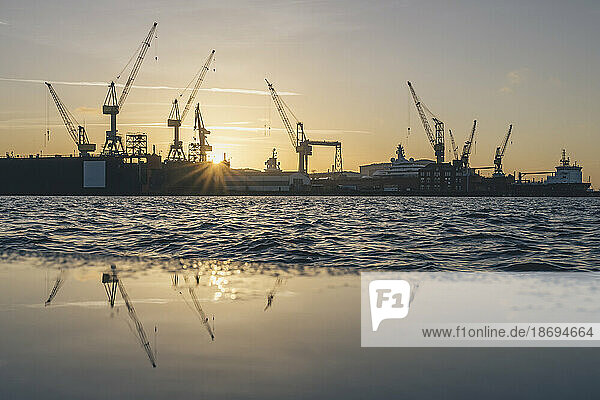 Germany  Hamburg  Cranes of Port of Hamburg at sunrise