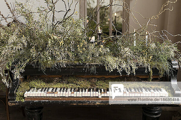 Old piano decorated with branches and moss at loft apartment