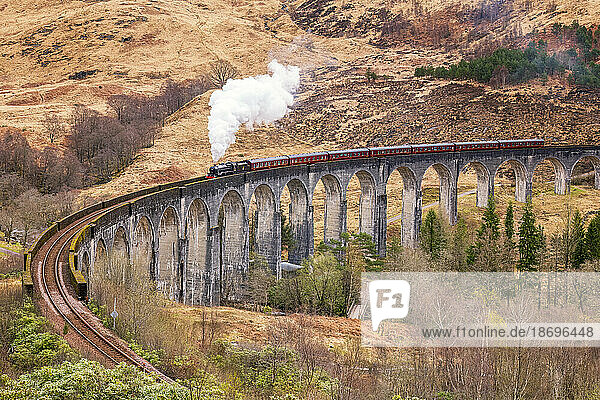 Großbritannien  Schottland  Jacobite-Dampfzug überquert das Glenfinnan-Viadukt