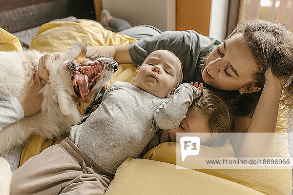 Mutter und Kinder spielen mit Australian Shepherd zu Hause im Bett