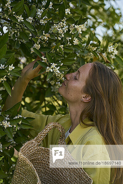 Woman smelling orange blossom flower at orchard