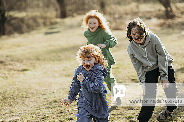 Cheerful children running in forest on sunny day
