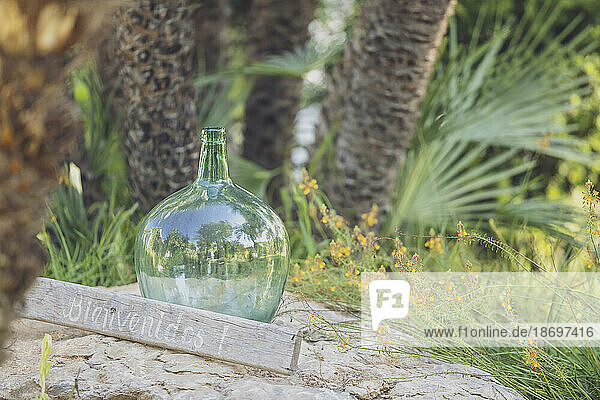 Spain  Balearic Islands  Formentera  Empty carboy standing in front of palm trees