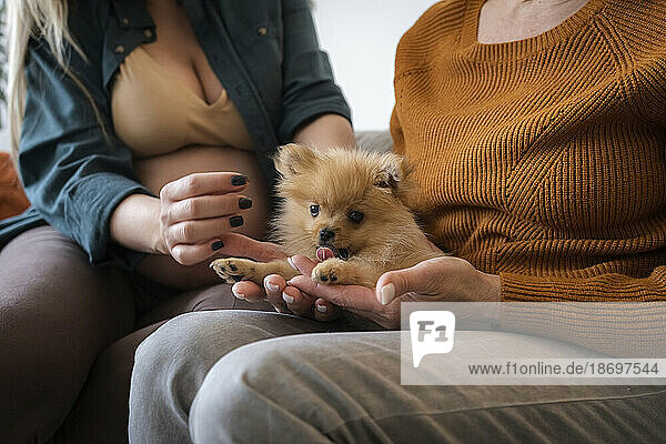 Mother and pregnant daughter holding puppy sitting at home