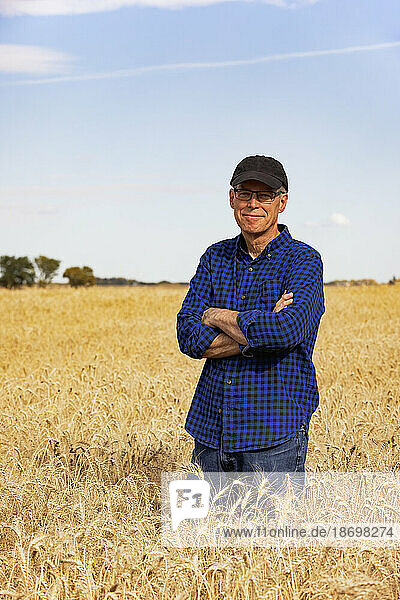 Portrait of a farmer looking at the camera while standing in a fully ripened grain field during the fall harvest; Alcomdale  Alberta  Canada