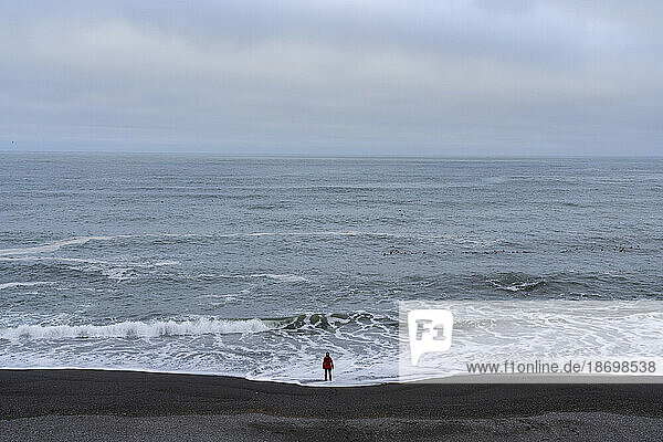 Distant view  taken from behind  of a woman standing on the beach at the water's edge looking out over the open ocean into infinity as waves break on the shoreline; East Iceland  Iceland