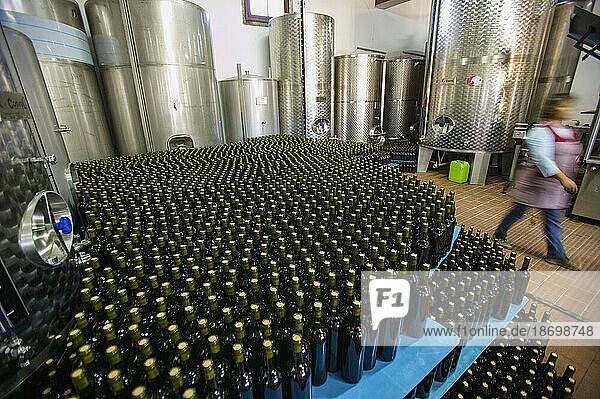 Bottles and vats at a winery; Douro River Valley  Portugal