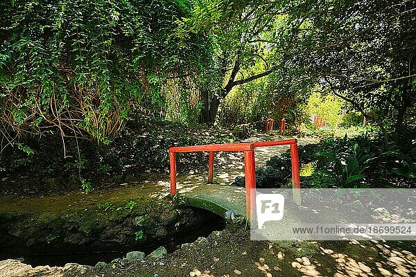 Rote Brücke im chinesischen Stil mit Holzgeländer im üppigen Grün des asiatischen Teils des tropischen botanischen Gartens in Lissabon  Portugal  Europa