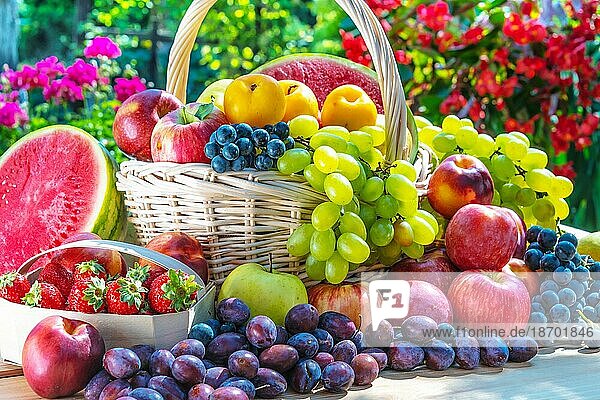 Vielfalt an frischen  reifen Früchten im Garten. Ausgewogene Ernährung
