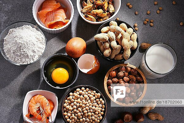 Zusammensetzung mit gängigen Lebensmittelallergenen wie Ei  Milch  Soja  Erdnüssen  Haselnüssen  Fisch  Meeresfrüchten und Weizenmehl