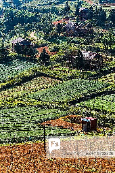 Landwirtschaft in kleinem Maßstab in Sapa in der Provinz Lao Cai im Nordwesten Vietnams