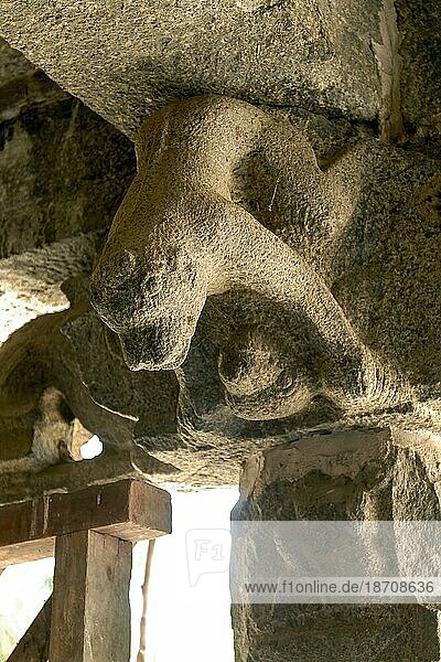 Pothiyal Affen-Basrelief-Skulptur  Der Sri Samayeeswarar Shiva-Tempel in Pulicat Pazhaverkadu  Tamil Nadu  Südindien  Indien  Asien