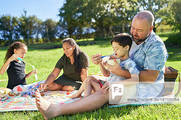 Father feeding cute son with Down Syndrome on picnic blanket