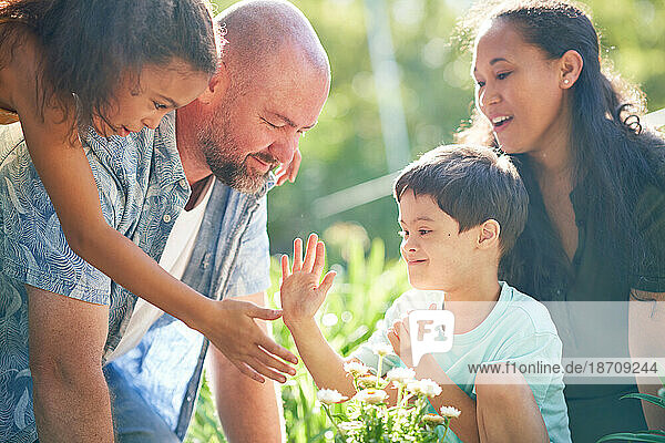 Happy family high-fiving  planting flowers in summer garden