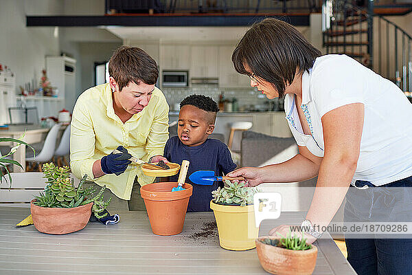 Lesbian couple and son planting plants in flowerpots at home