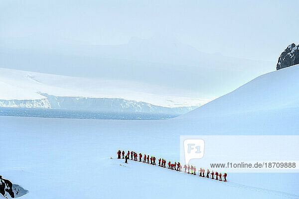 Hikers snow shoeing in McFarlane Strait  South Shetland Islands  Antarctica  Polar Regions