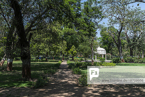 Law Garden  Ahmedabad  Gujarat  India  Asia