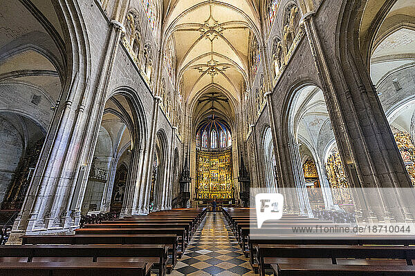 Interior of the Cathedral of San Salvador  Oviedo  UNESCO World Heritage Site  Asturias  Spain  Europe
