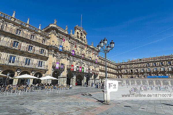Plaza Mayor  Salamanca  UNESCO World Heritage Site  Castile and Leon  Spain  Europe
