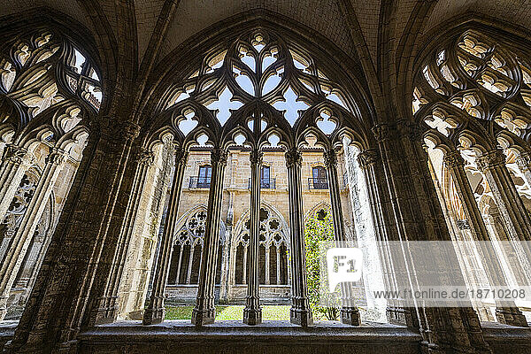Cloister of the Cathedral of San Salvador  Oviedo  UNESCO World Heritage Site  Asturias  Spain  Europe