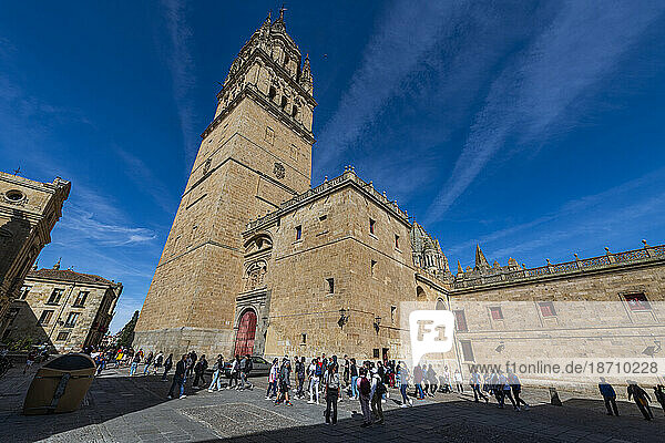 Salamanca Cathedral  Salamanca  UNESCO World Heritage Site  Castile and Leon  Spain  Europe