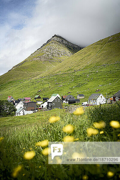 Traditional houses in the small village of Kunoy in the flowering meadows  Kunoy Island  Faroe Islands  Denmark  Europe