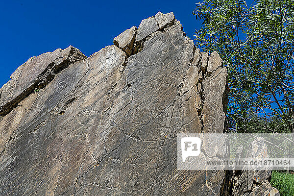 Rock art  Vale de Coa  UNESCO World Heritage Site  Portugal  Europe