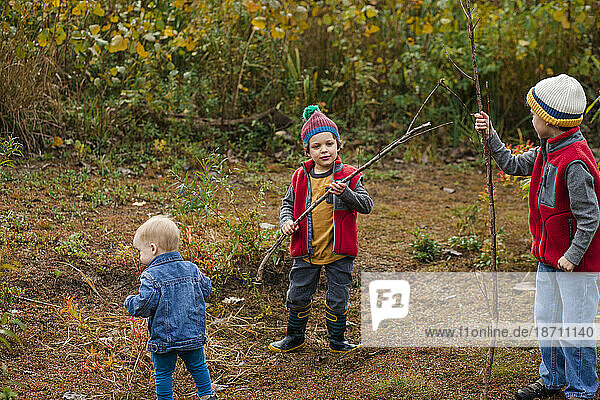 three small boys play together in a prairie in autumn