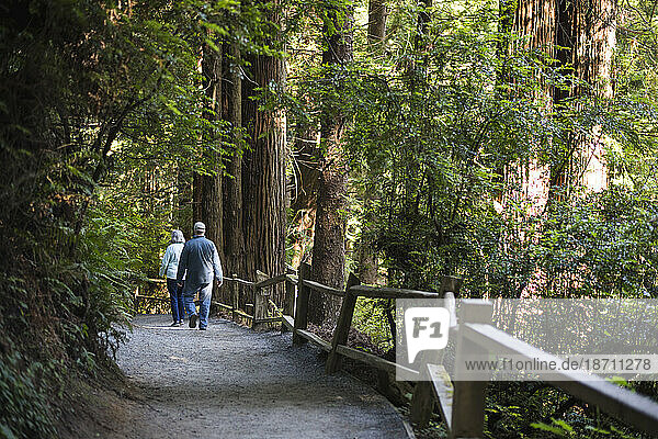 Middle-aged couple Hiking among Redwoods in California