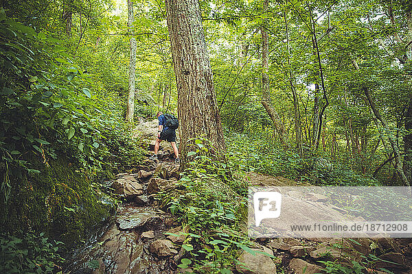 A young male hiker makes his way up a rocky path in the forest.