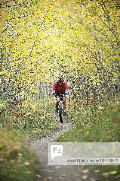 Singletrack mountain biking in the fall.