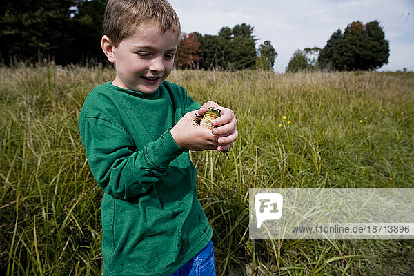 Four year old boy holding a frog in a field with a green shirt.