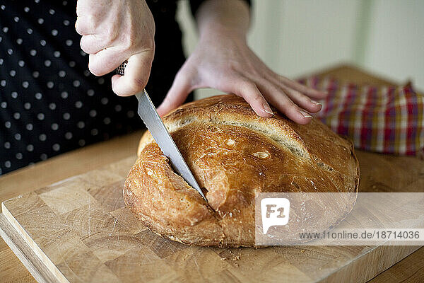 A young woman slices into a fresh homemade loaf of organic bread in her Seattle  Washington  home.