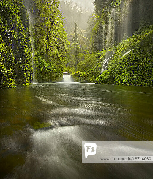 A multitude of impressive waterfalls cascading through lush temperate rainforest in Oregon.